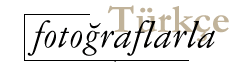 T�rk�e